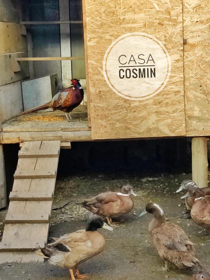 Casa Cosmin Cincu Hotel Buitenkant foto