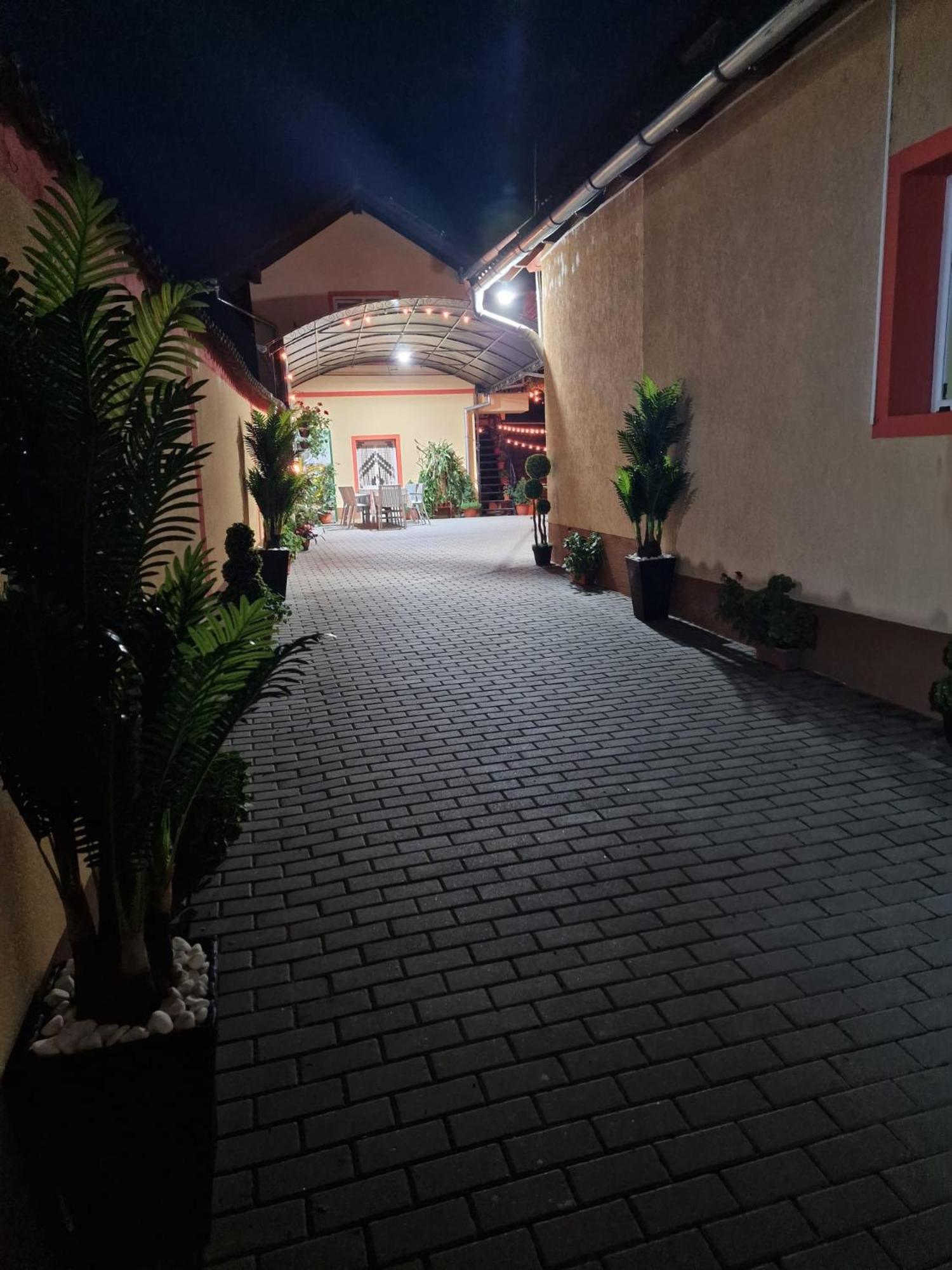 Casa Cosmin Cincu Hotel Buitenkant foto